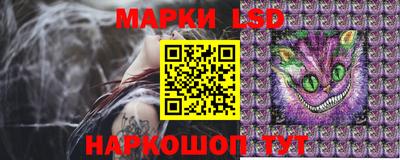дживик Новозыбков
