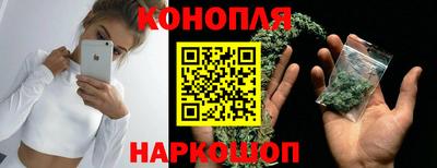 дживик Новозыбков