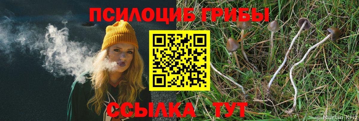 Галлюциногенные грибы GOLDEN TEACHER  Вход с VPN  Топки  Псилоцибиновые грибы ЛСД 