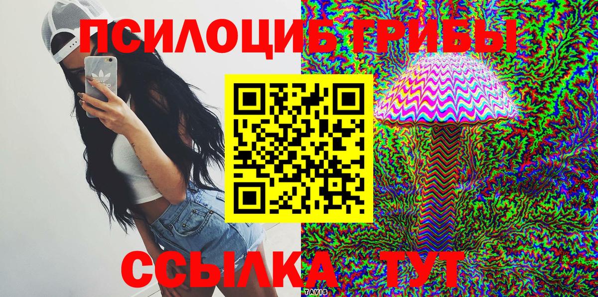 Псилоцибиновые грибы мицелий Топки